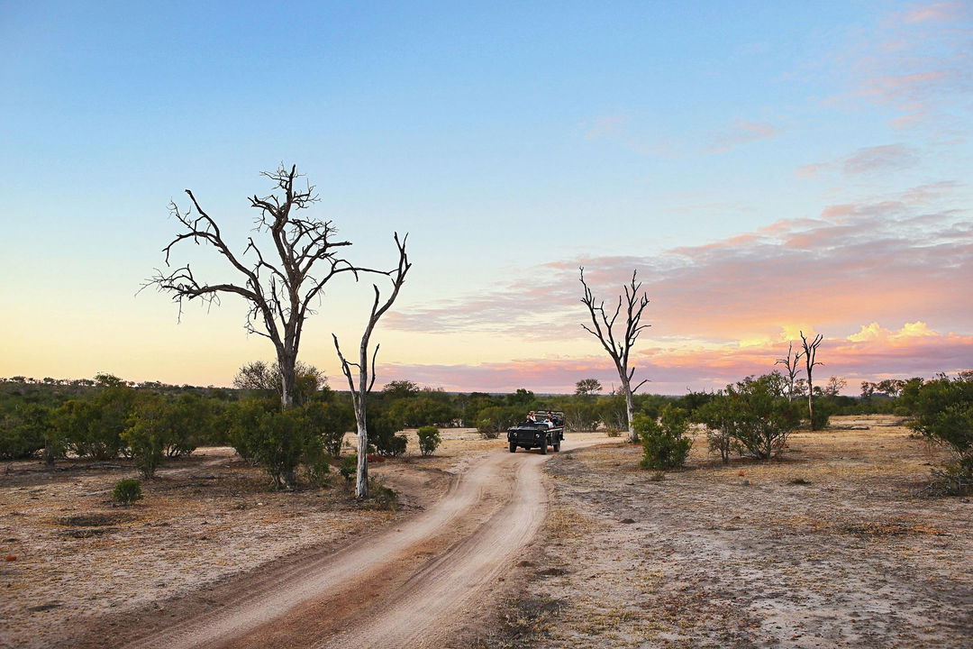 game drive at sunset by Lodolozi game reserve