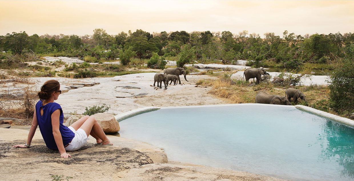 lady guest at the Granite suites pool of Londolozi looking at elephants in river