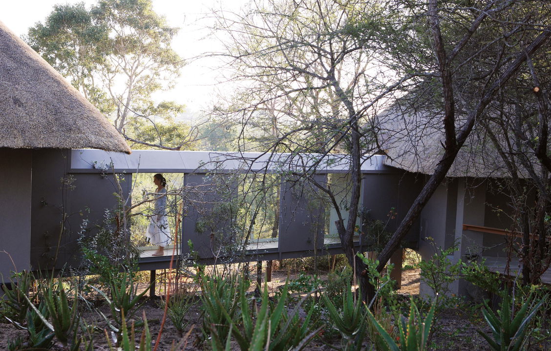 interleading walkway of suites at pioneer camp Londolozi