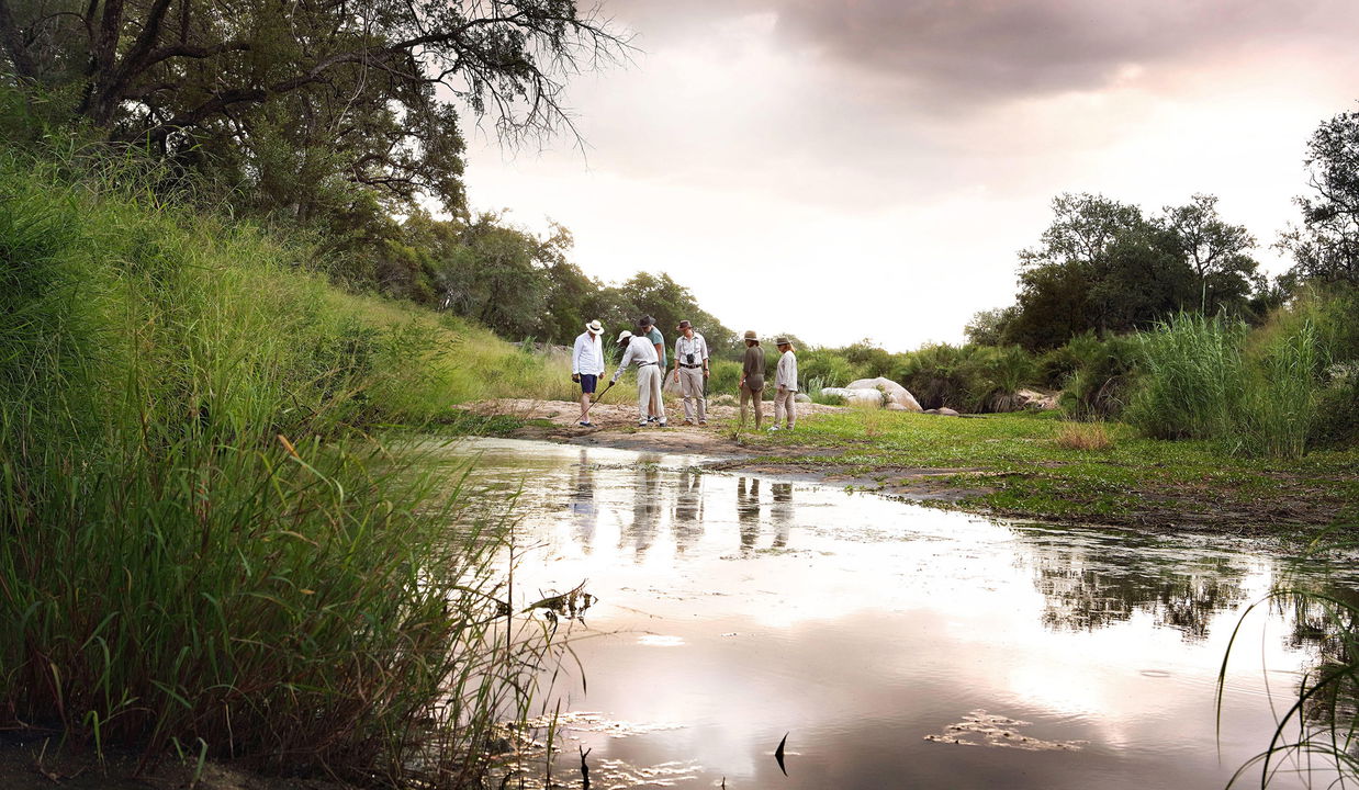 guests on a walking safari at the river by Londolozi Game Reserve