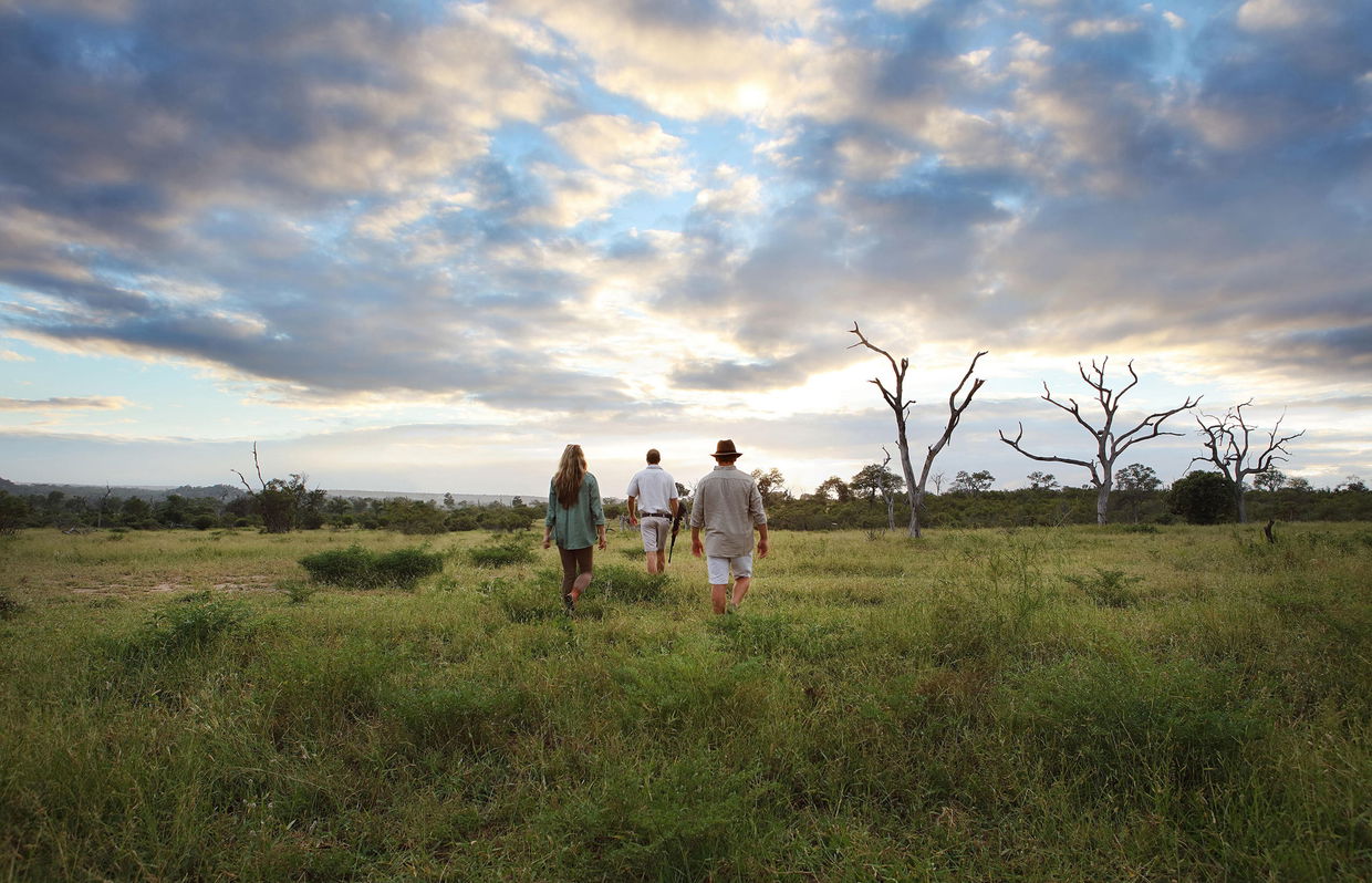 guests with ranger on a walking safari at Londolozi game reserve