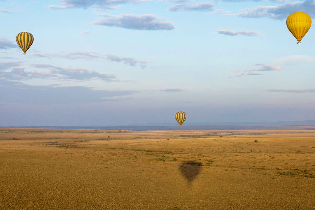 hot air balloons over the plains at Mahali Mzuri Kenya Masai Mara
