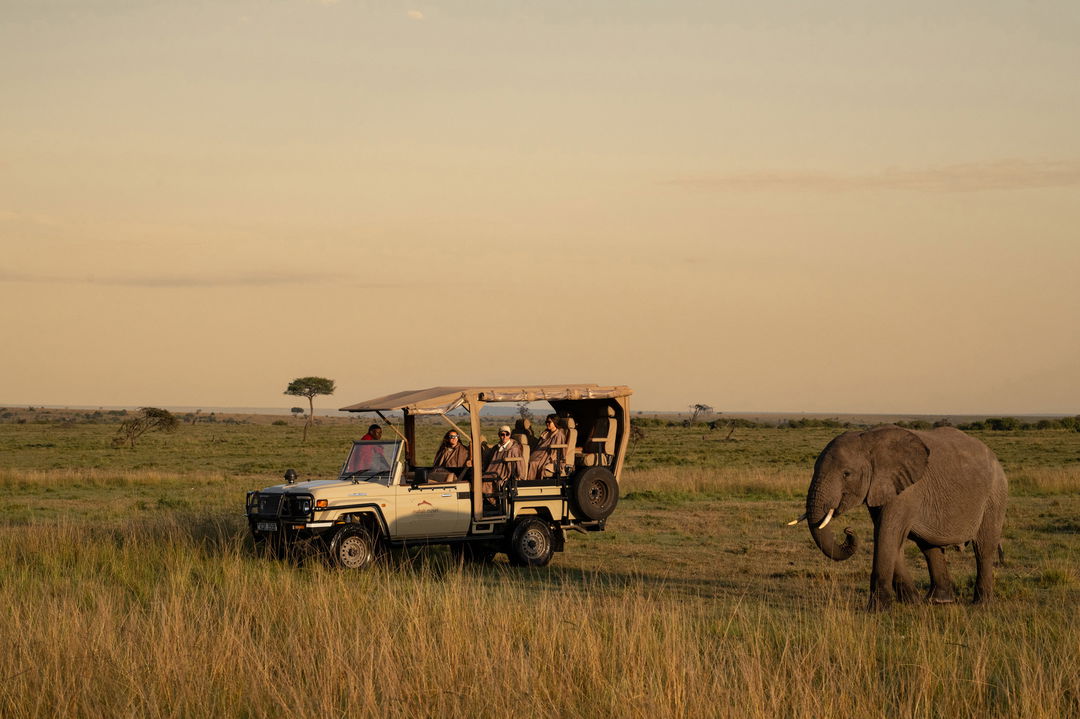 elephant sighted near game drive vehicle of Mahali Mzuri Kenya Masai Mara