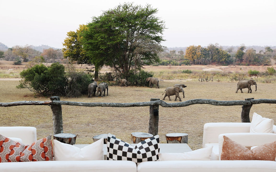 viewing deck of Sable camp with Elephants in riverbed at MalaMala game reserve