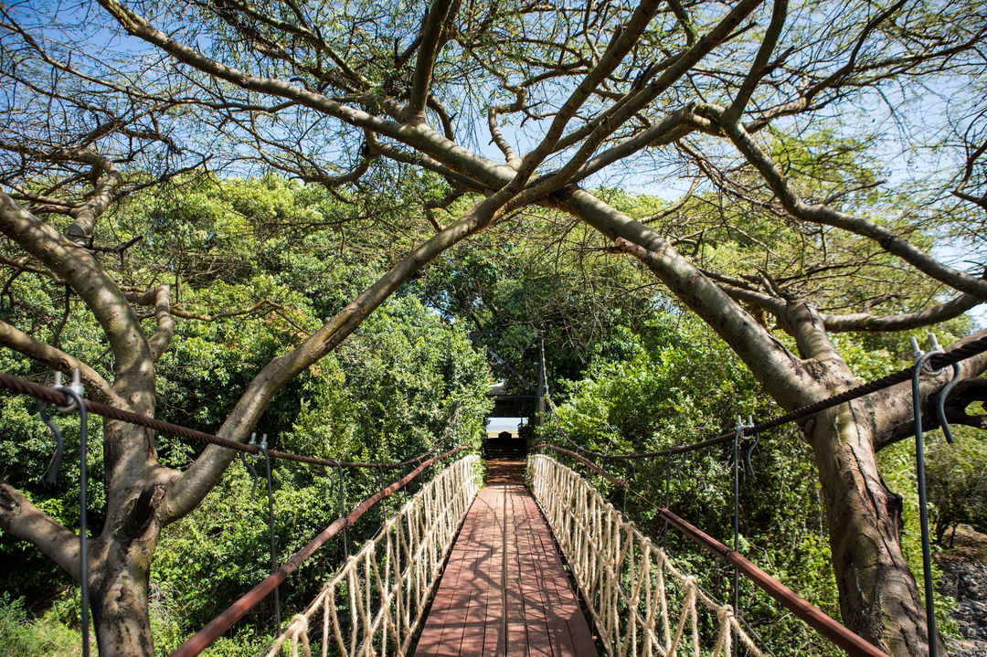 view of the access bridge at main camp Mara Plains Camp Kenya Masai Mara