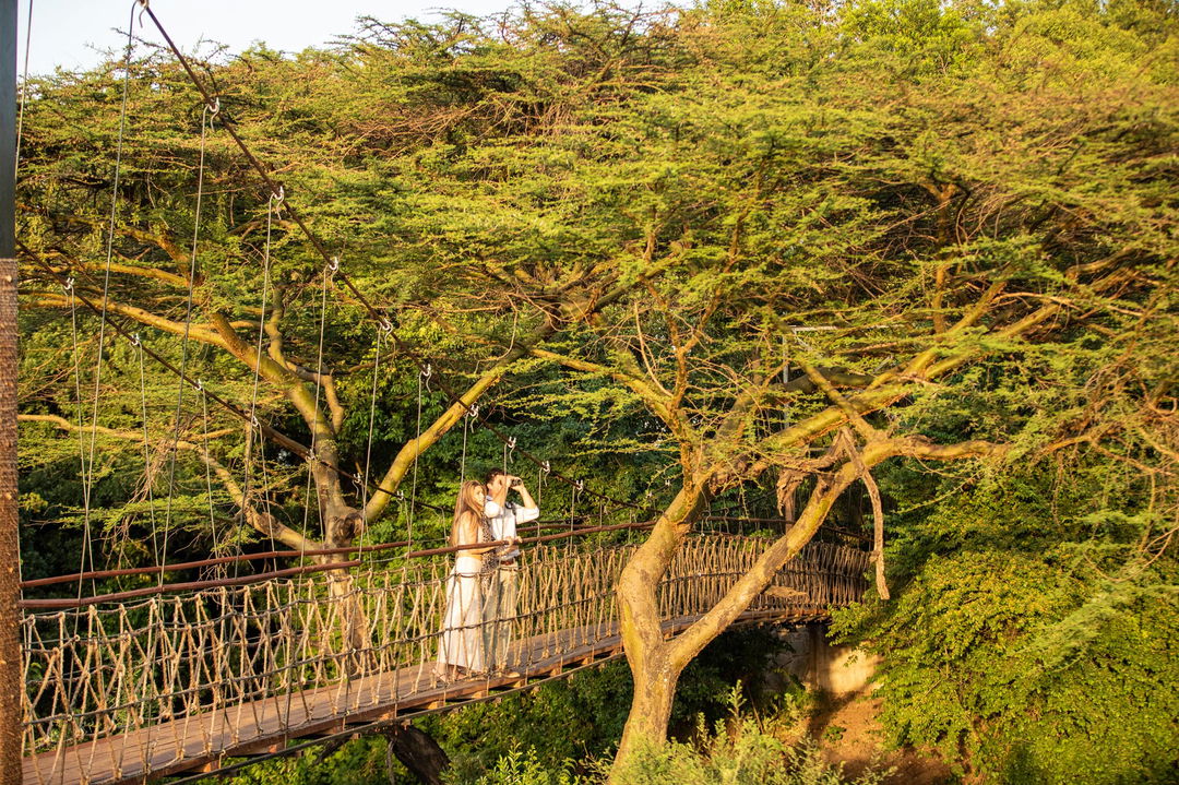 couple on drawbridge in morning sun by Mara Plains Camp Kenya Masai Mara