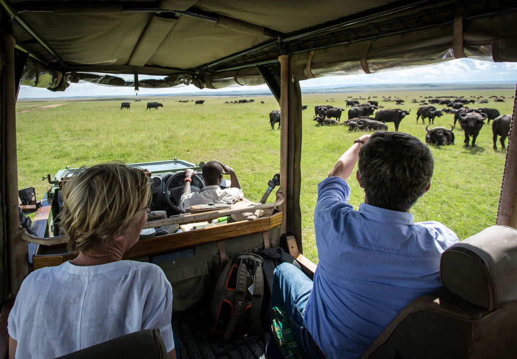 game drive vehicle near wildebeest migration at Mara Plains Camp Kenya Masai Mara