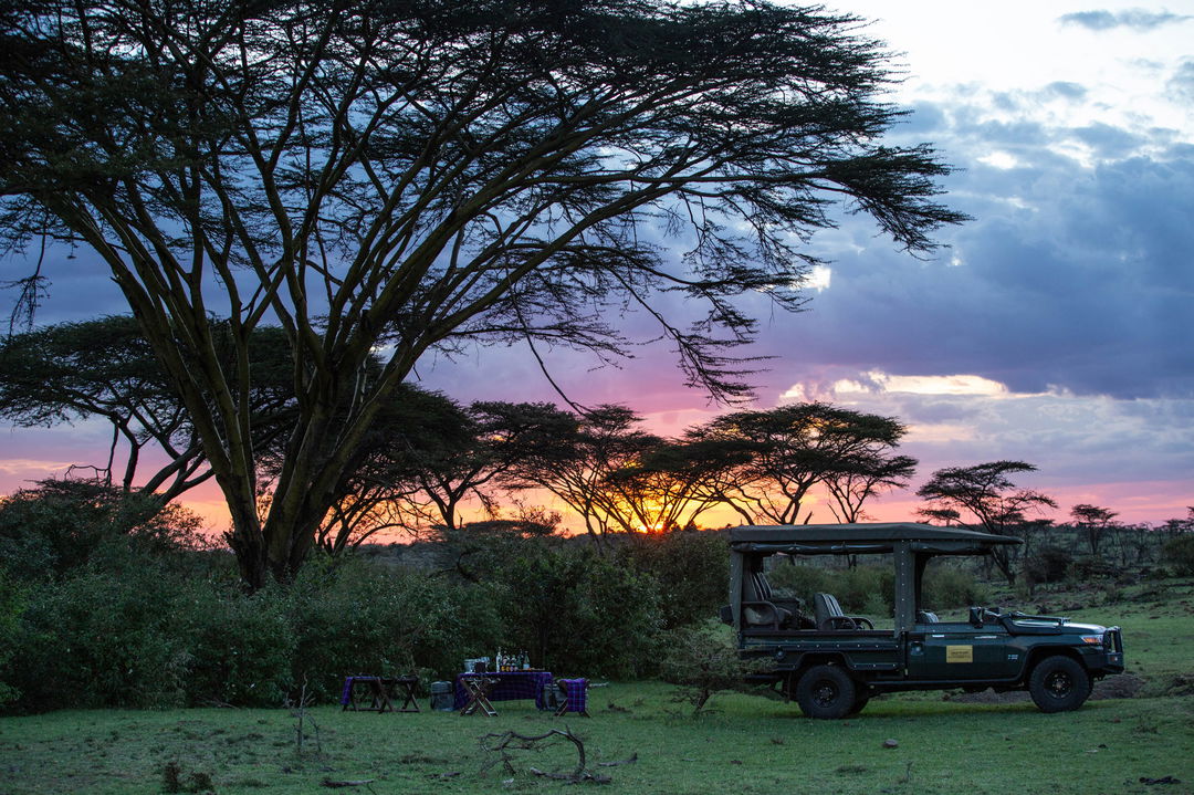 sundowners by safari vehicle under tree at Mara Plains Camp Kenya Masai Mara