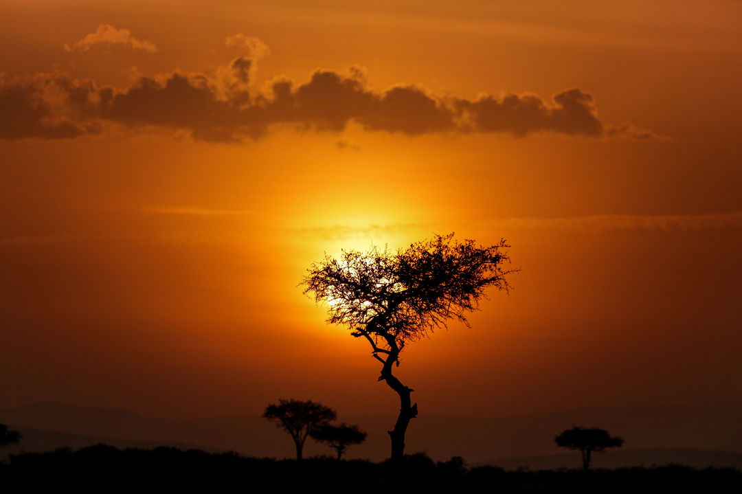 sunset view of the plains of the Mara at Mara Plains Camp Kenya Masai Mara