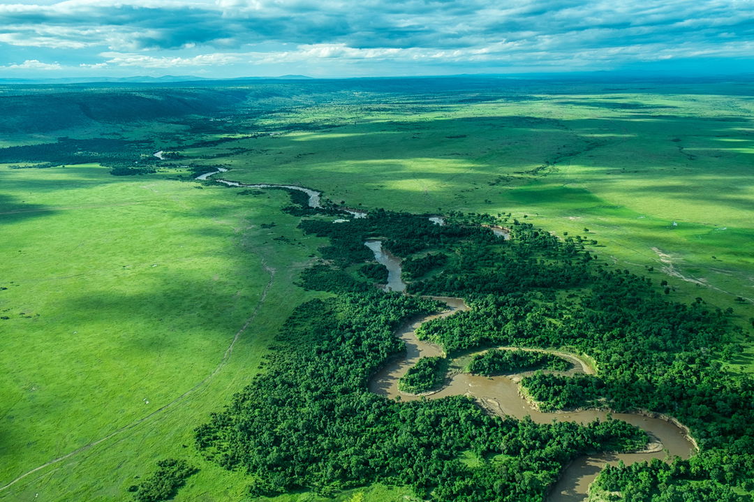 Aerial view of the Ntiakitiak near camp of Mara Plains Camp Kenya Masai Mara