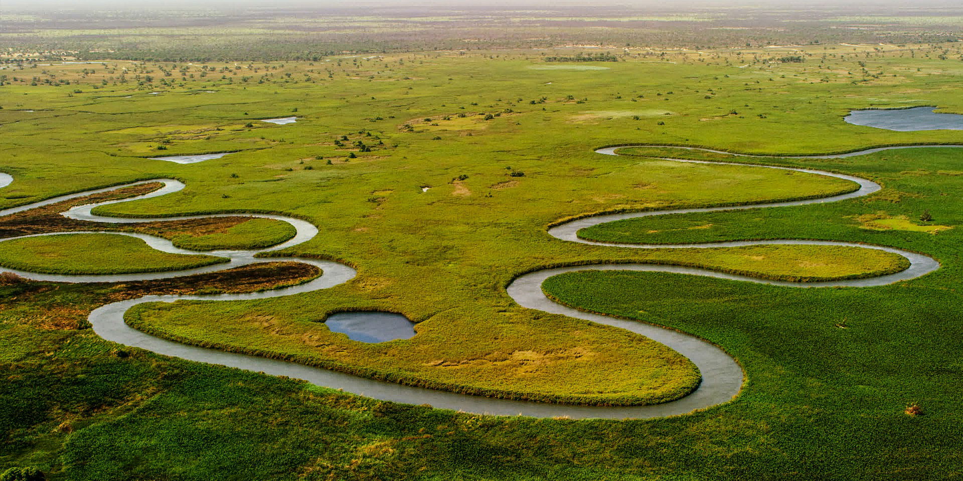  aerial view of river snaking through Okavango delta Botswana waterways