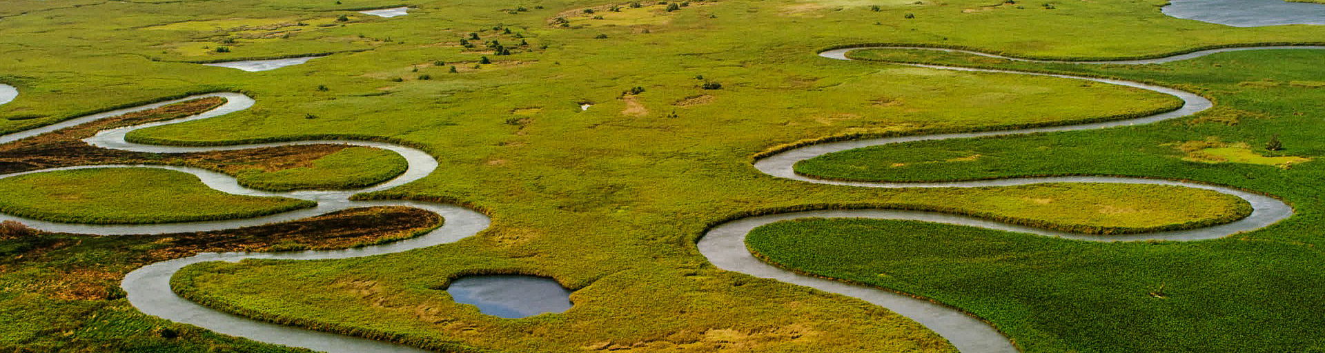  aerial view of river snaking through Okavango delta Botswana waterways