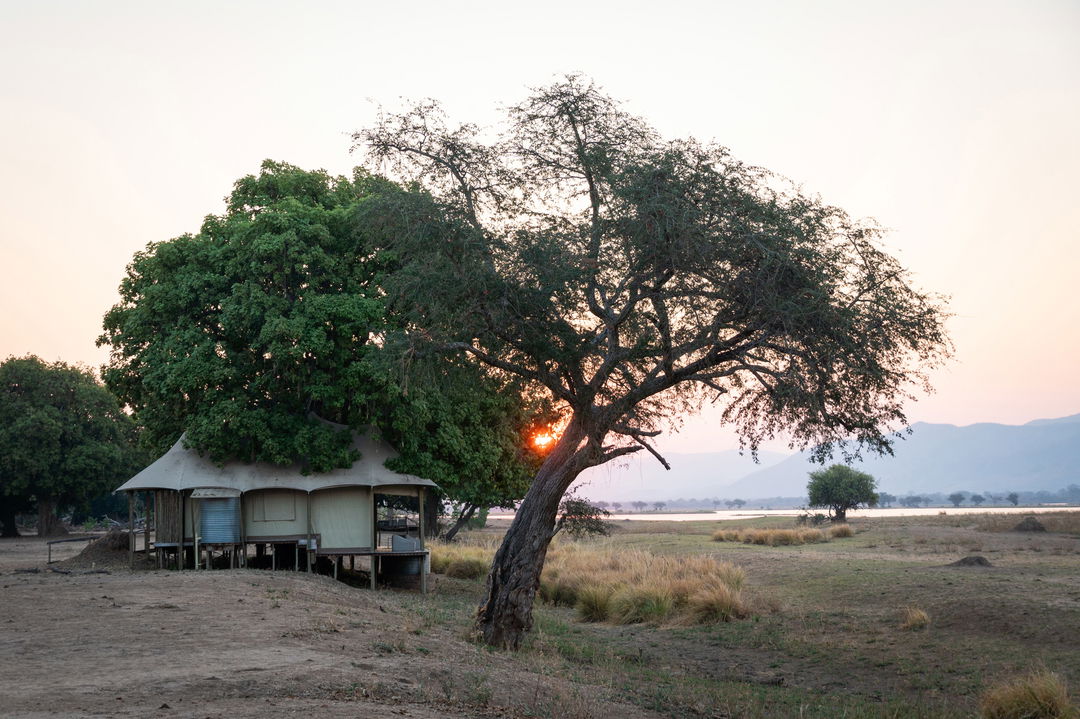outside a tented suite at Nyamatusi Camps Mana Pools Zimbabwe 