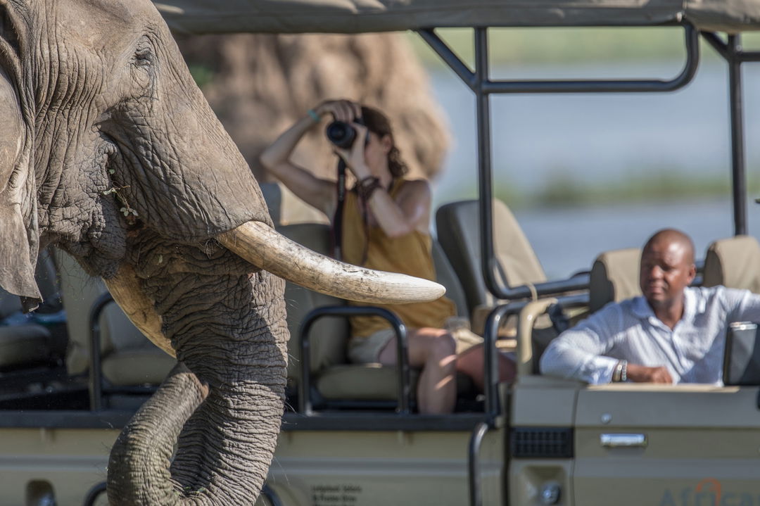 elephant close by safari vehicle with guests of Nyamatusi Camps Mana Pools Zimbabwe 