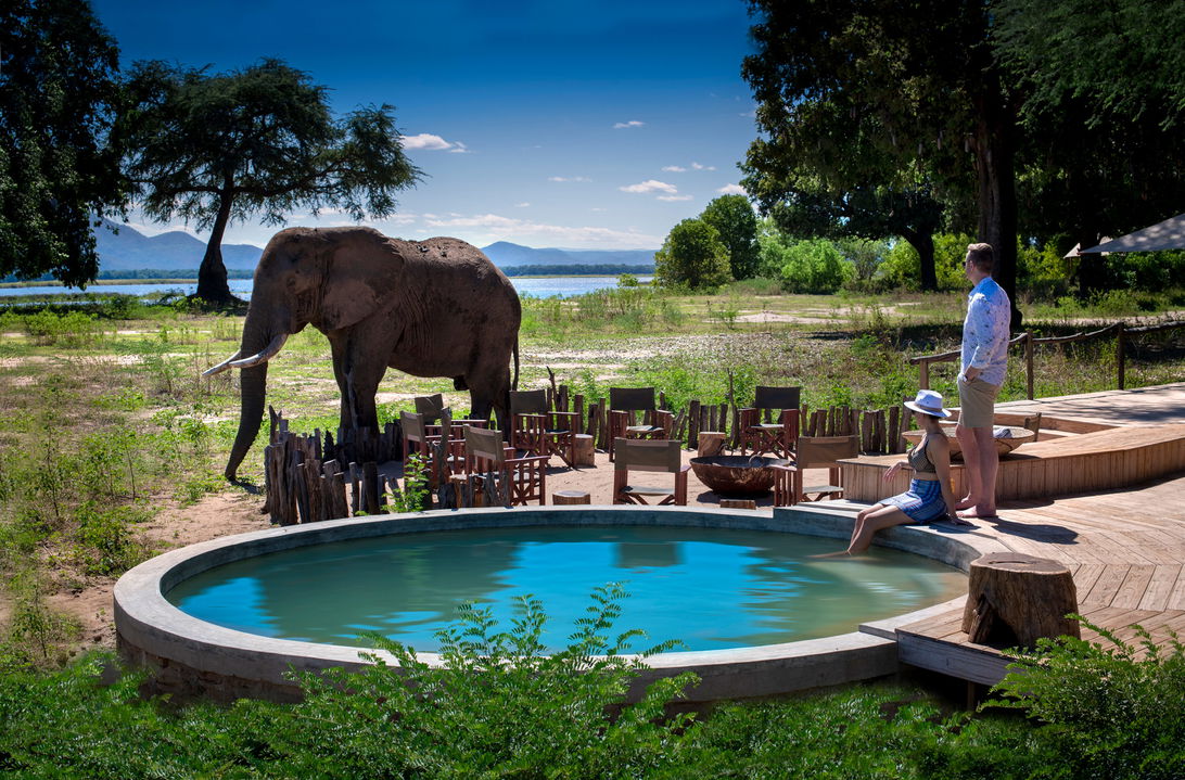 couple outside on deck by pool with elephant close by at Nyamatusi Camps Mana Pools Zimbabwe 