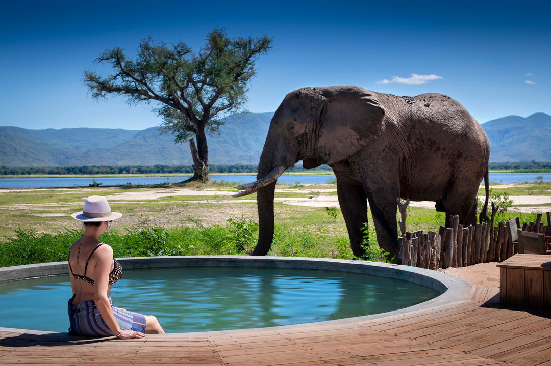 lady in pool at Nyamatusi Camps Mana Pools Zimbabwe with elephant very close