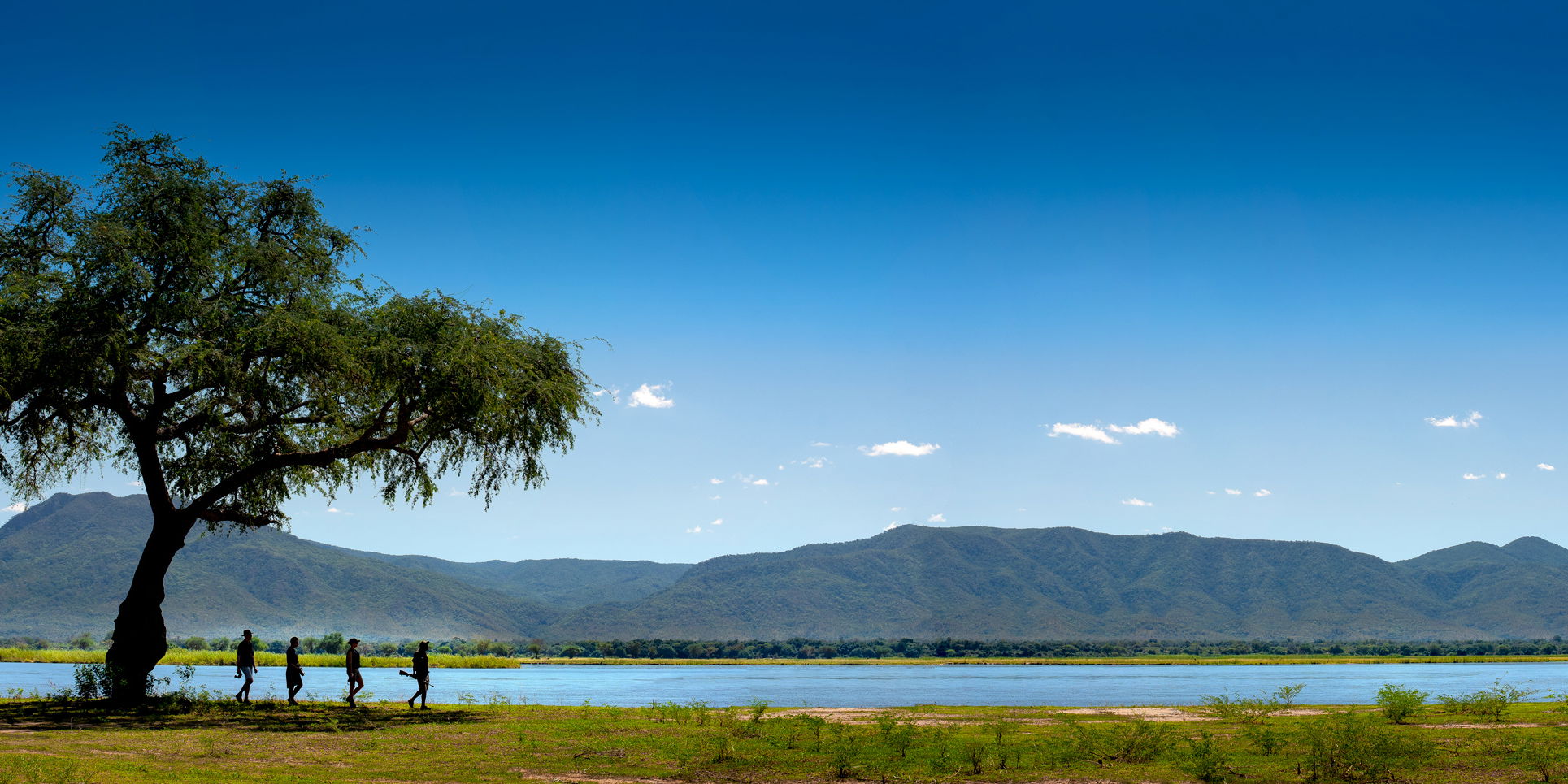 guests with guide on a walking safari near river at Nyamatusi lodge mana pools Zimbabawe