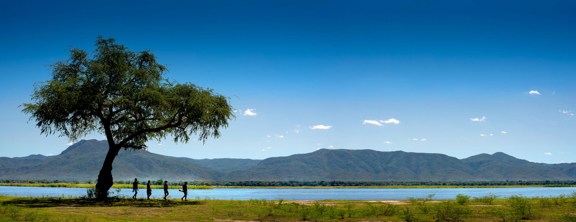 guests with guide on a walking safari near river at Nyamatusi lodge mana pools Zimbabawe