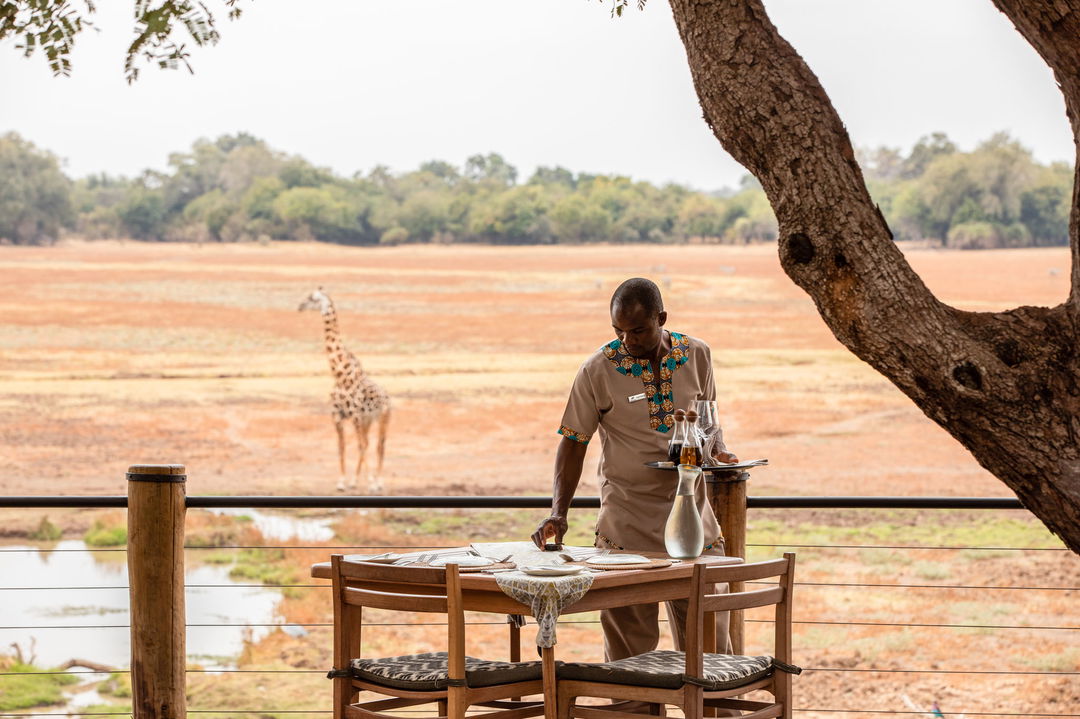 staff preparing tables on main deck of lodge by Puku Ridge Camp Zambia with giraffe in background