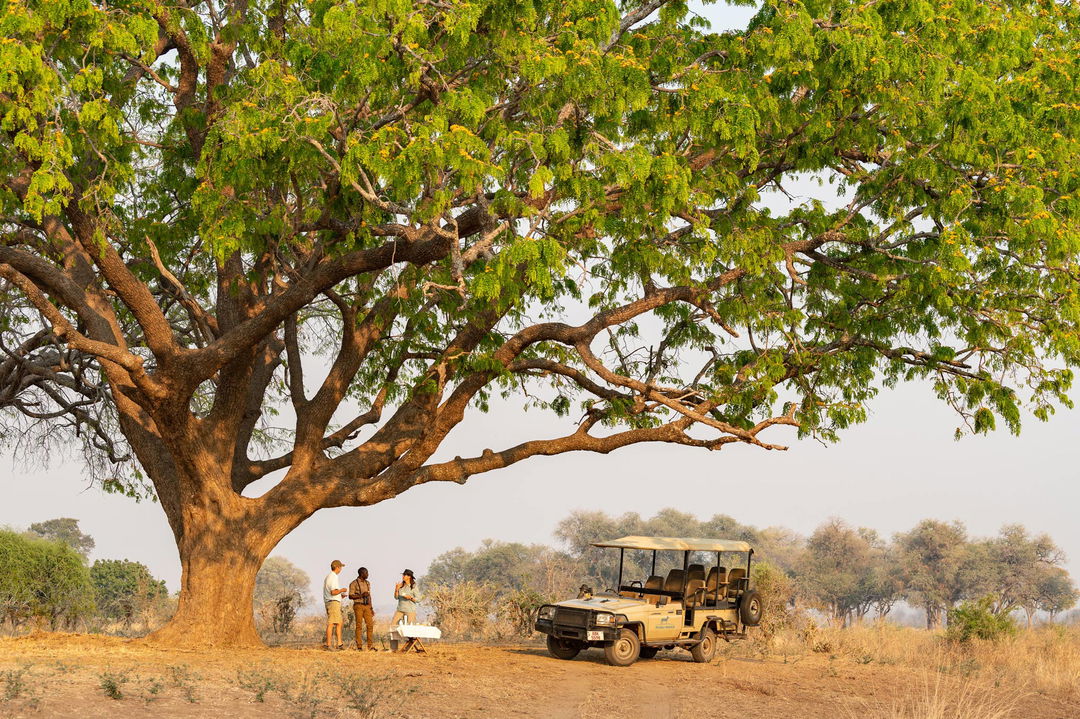 guests having drinks under a big tree with guide at Puku Ridge Camp Zambia