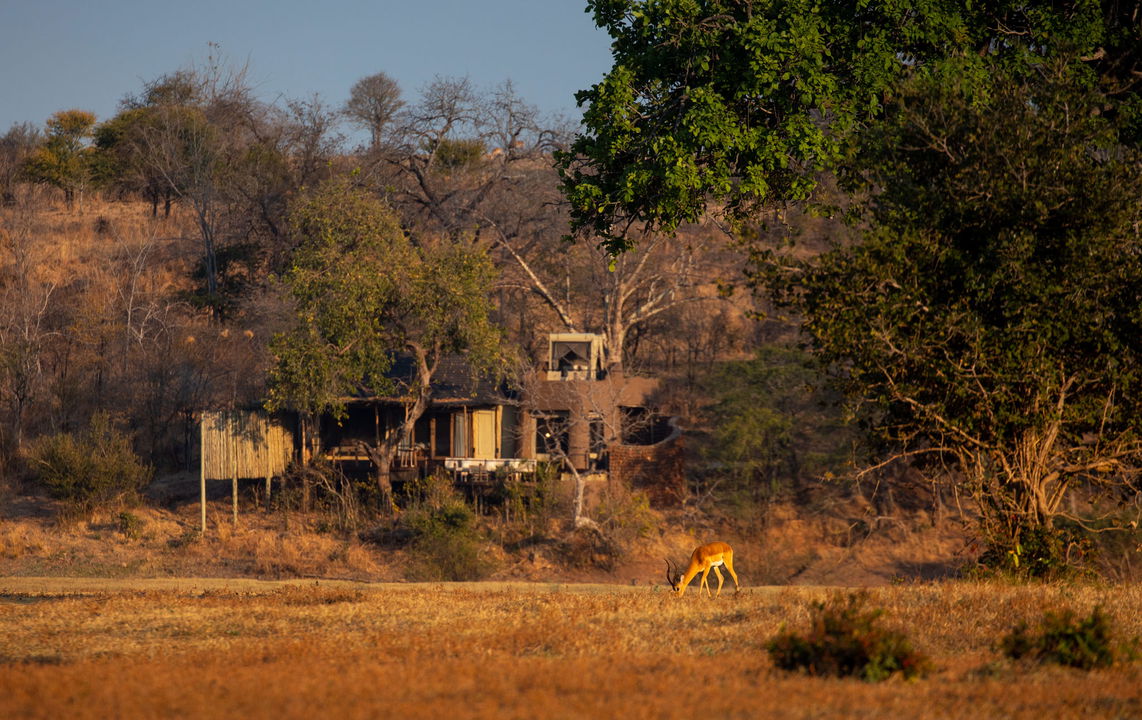 hidden villa in bushes of Puku Ridge Camp Zambia Luangwa Plains