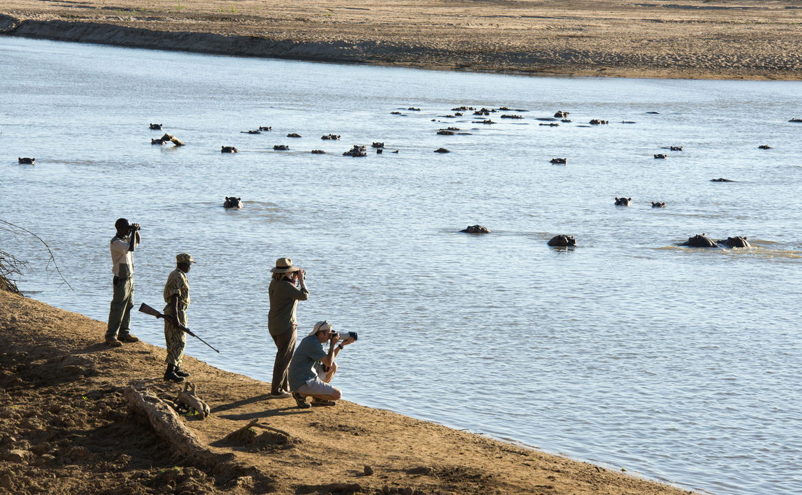 guests by river with guide looking at hippos at Puku Ridge Camp Zambia