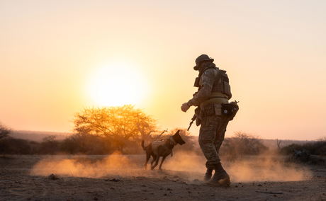 tracker and dog on conservation outing by royal malewane lodges tracker and dog on conservation outing by royal malewane lodges