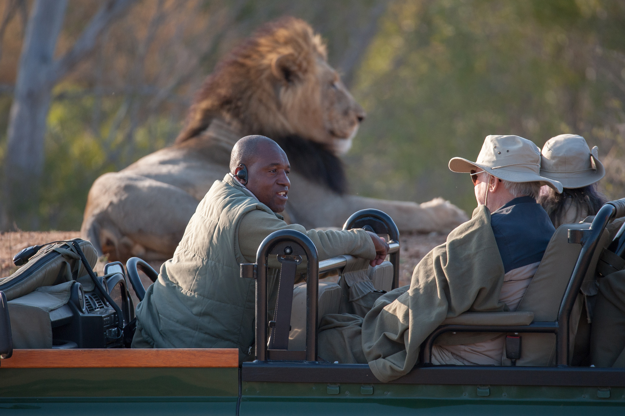 safari guide on vehicle educating guests with lion in background at Royal Malewane