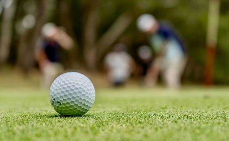 golf ball on green of leopard creek golf course golf ball on green of leopard creek golf course
