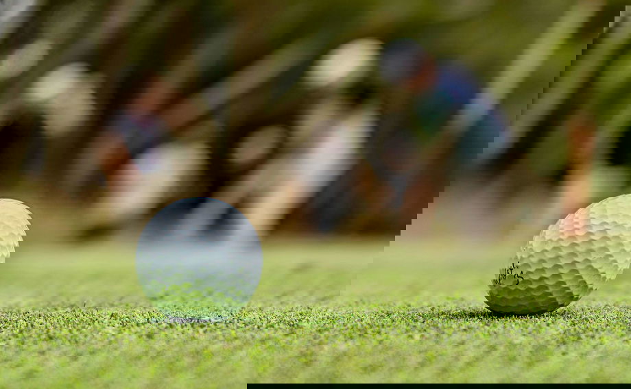 golf ball on green of leopard creek golf course golf ball on green of leopard creek golf course