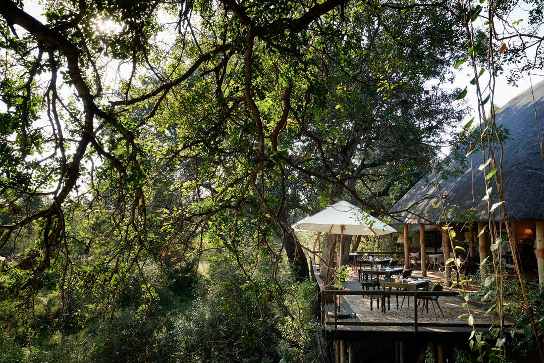obscured by trees deck view of royal malewane lodge