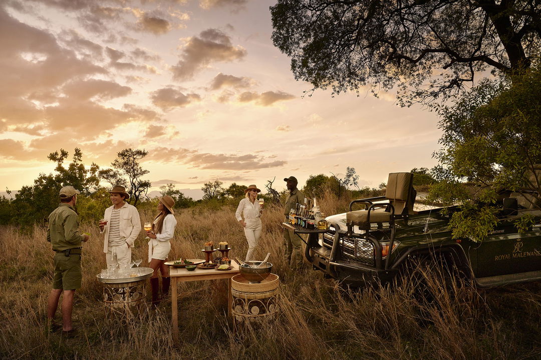 sundowner drinks at sunset under tree with guide at royal malewane lodges