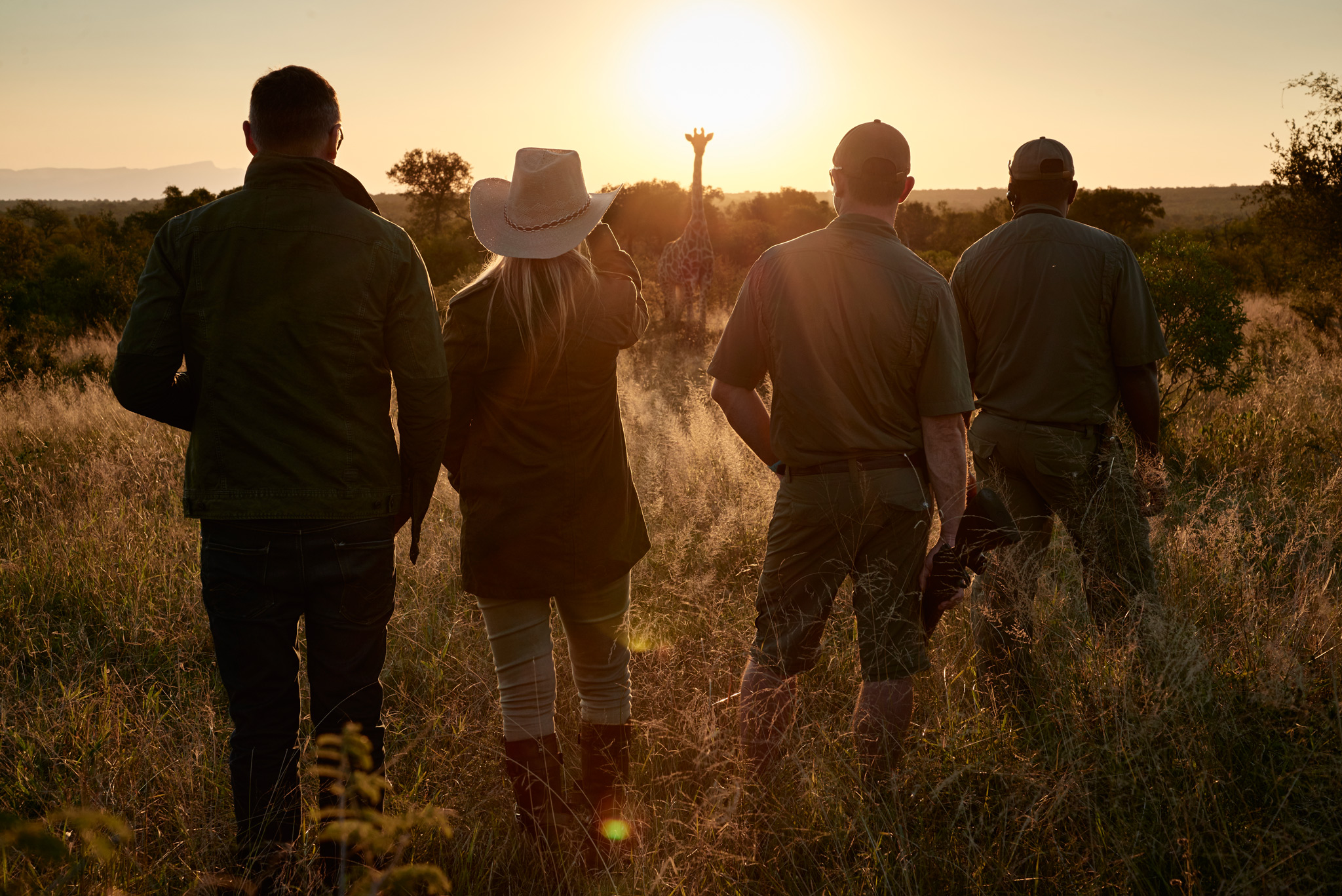 trackers and safari guests in bush looking at giraffe at sunrise at Royal Malewane