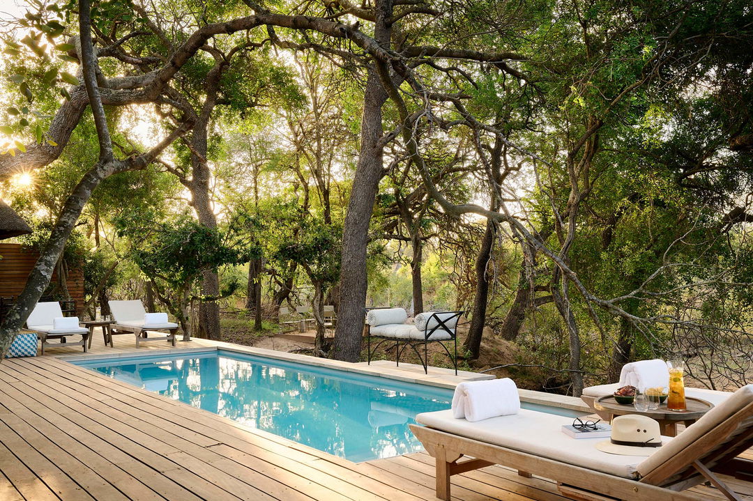 pool view at waterside house royal malewane