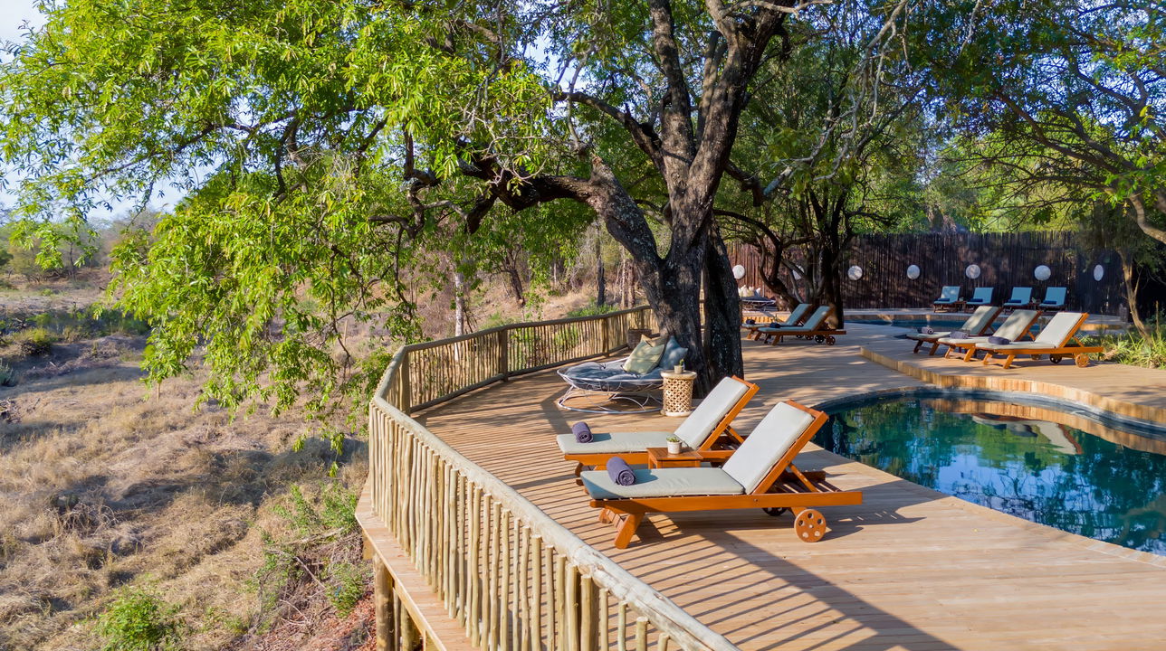 deck chairs by pool of sabi sabi bush lodge