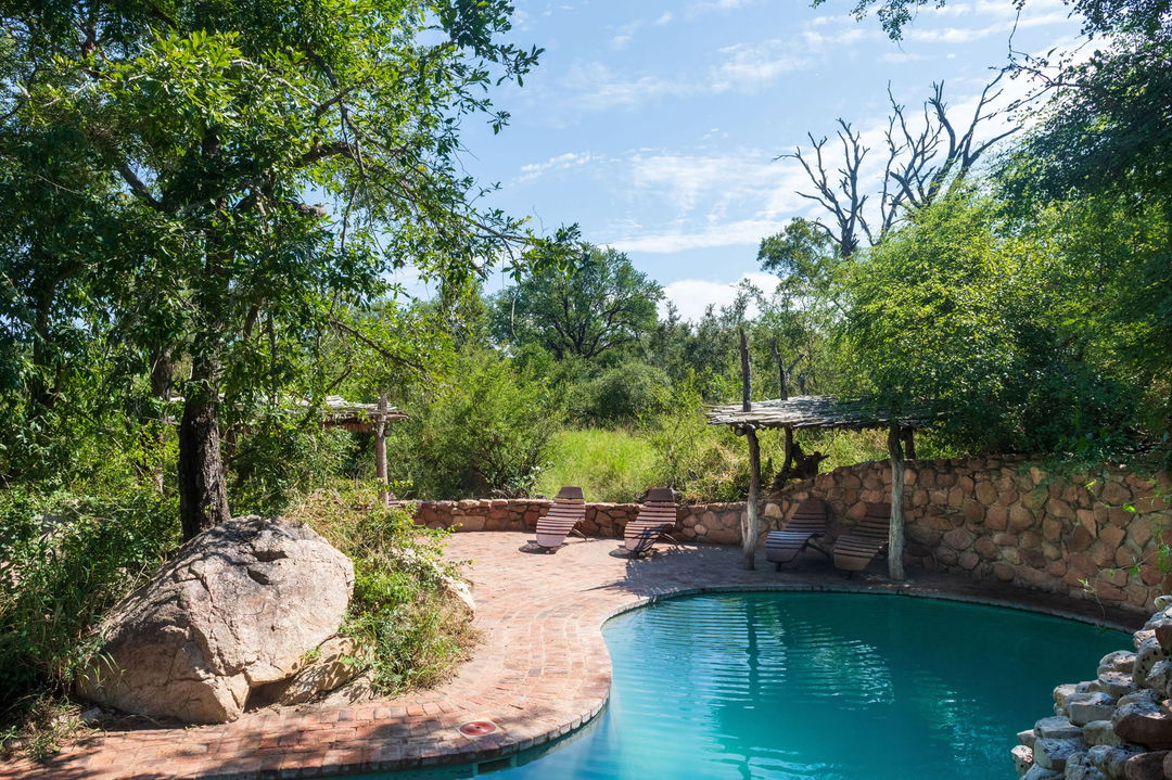 main pool at sabi sabi littl bush camp lodge