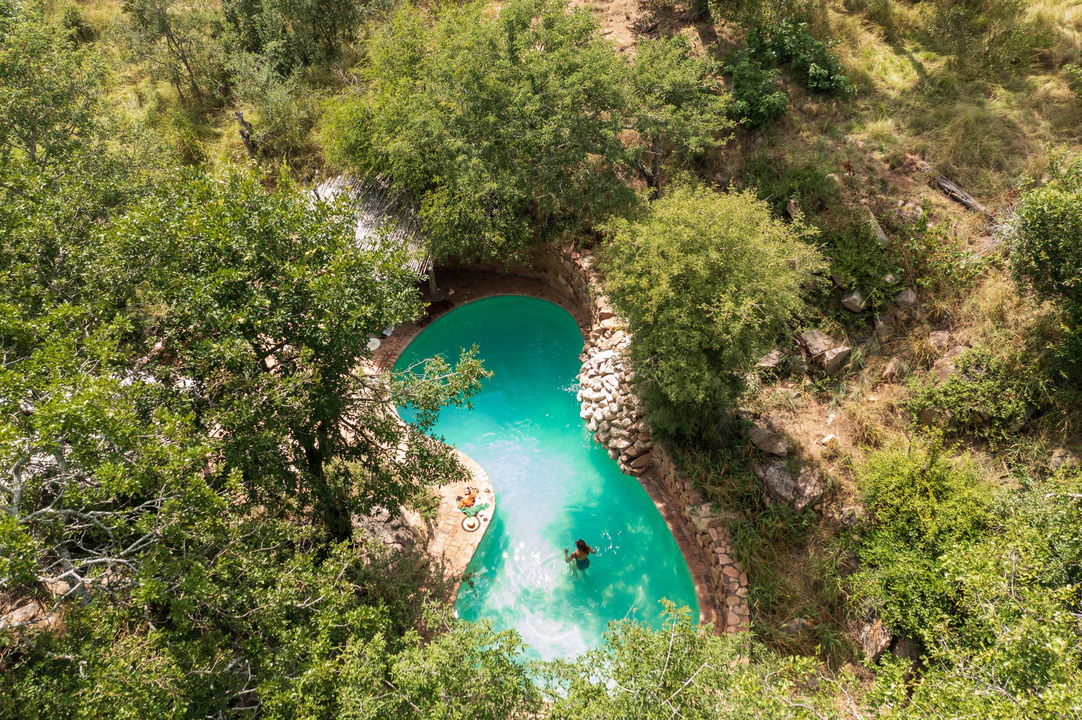 aerial view of pool with guest swimming at little bush camp sabi sabi