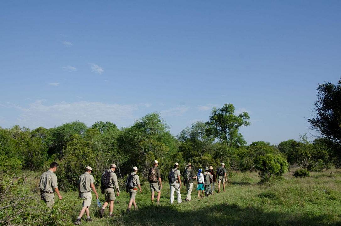 guests on a walking safari with guide at sabi sabi game reserve
