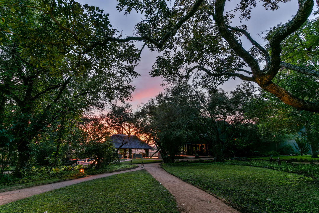 gardens by selati camp sabi sabi at sunset