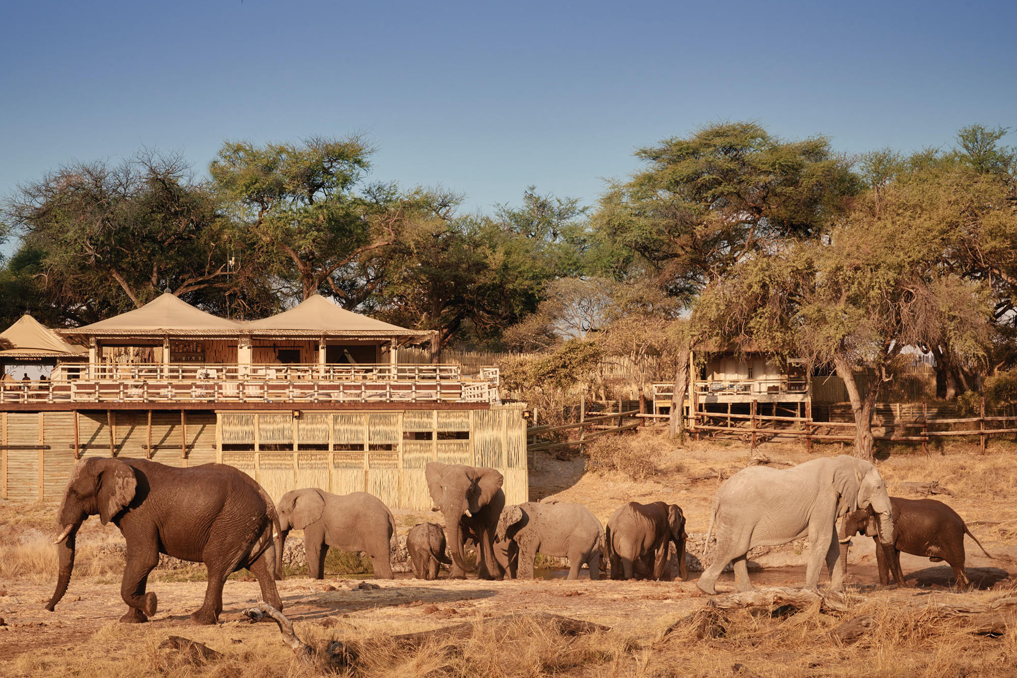 savute elpehant lodge viewing deck with elephants at waterhole