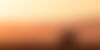 black rhino in rhino desert camp wilderness Namibia at sunset