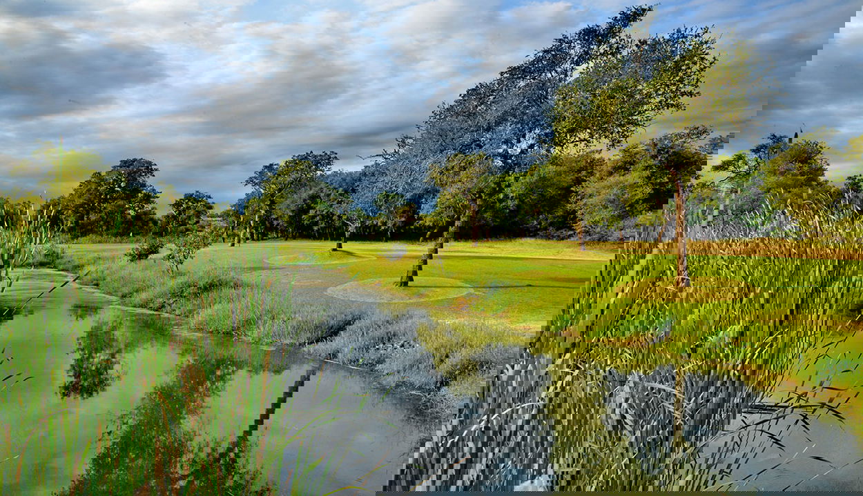 fairway with dam and reeds on the side at Skukuza golf course south Africa