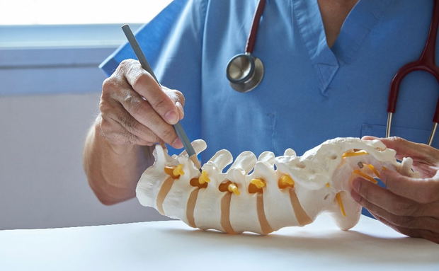 surgeon explaining procedure with pencil on plastic spine