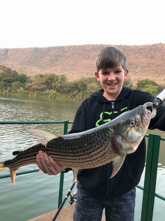  young boy holding a big tigerfish caught in Komati river off a barge