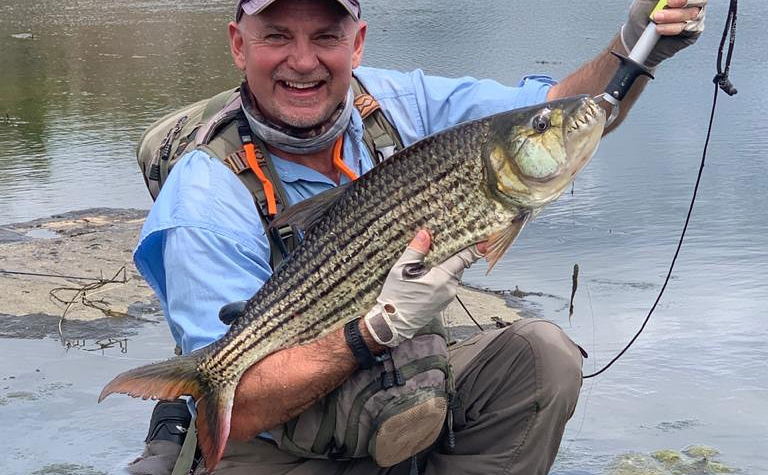 Fly fisherman holding big tigerfish caught on fly in Komati river Kruger national park