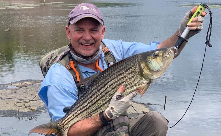 Fly fisherman holding big tigerfish caught on fly in Komati river Kruger national park