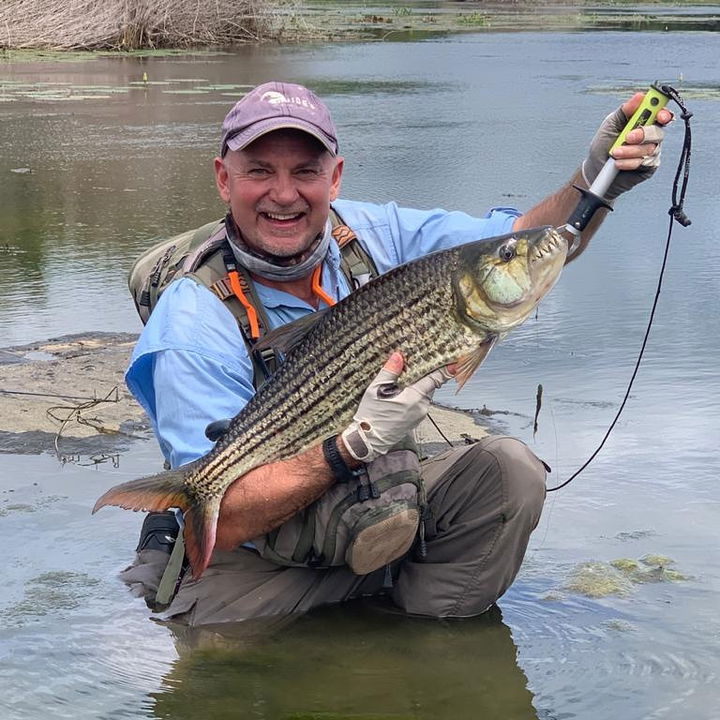 Fly fisherman holding big tigerfish caught on fly in Komati river Kruger national park