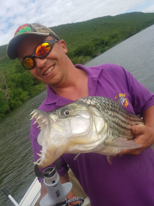 fisherman spreading the mouth of tigerfish to show teeth in Kruger national park