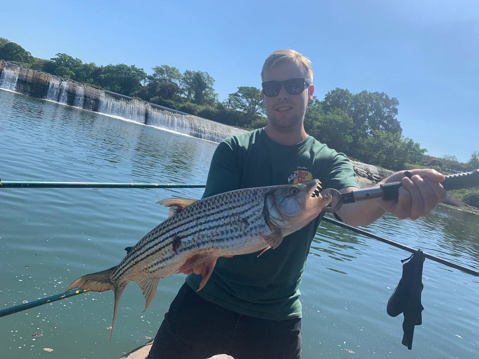 fisherman showing tigerfish caught in Kruger national park