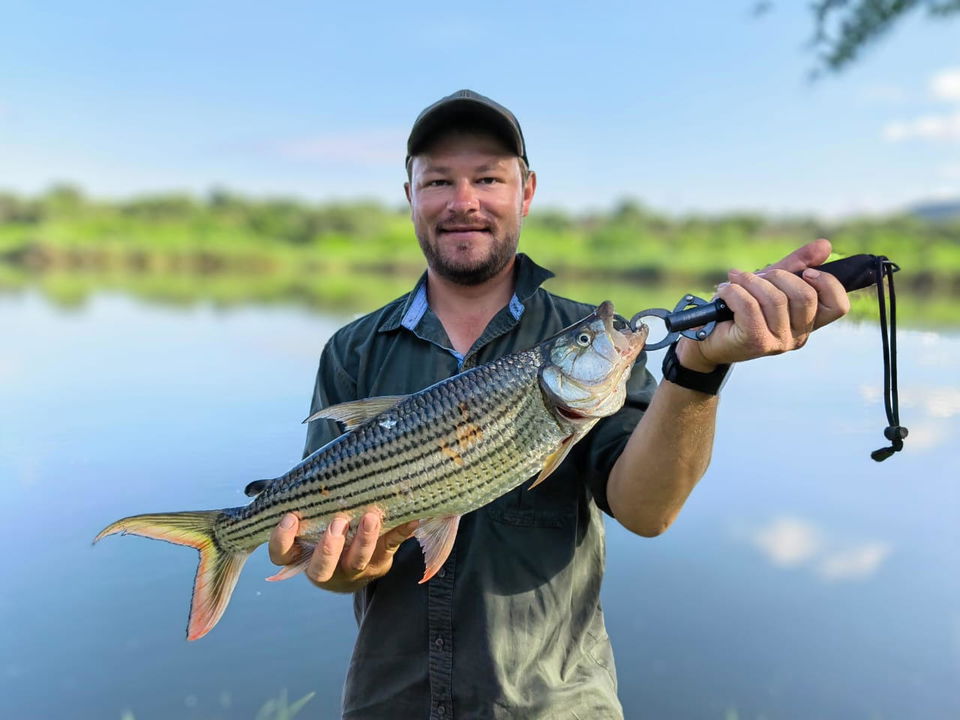 man holding tiger fish with lip grab at Komati river